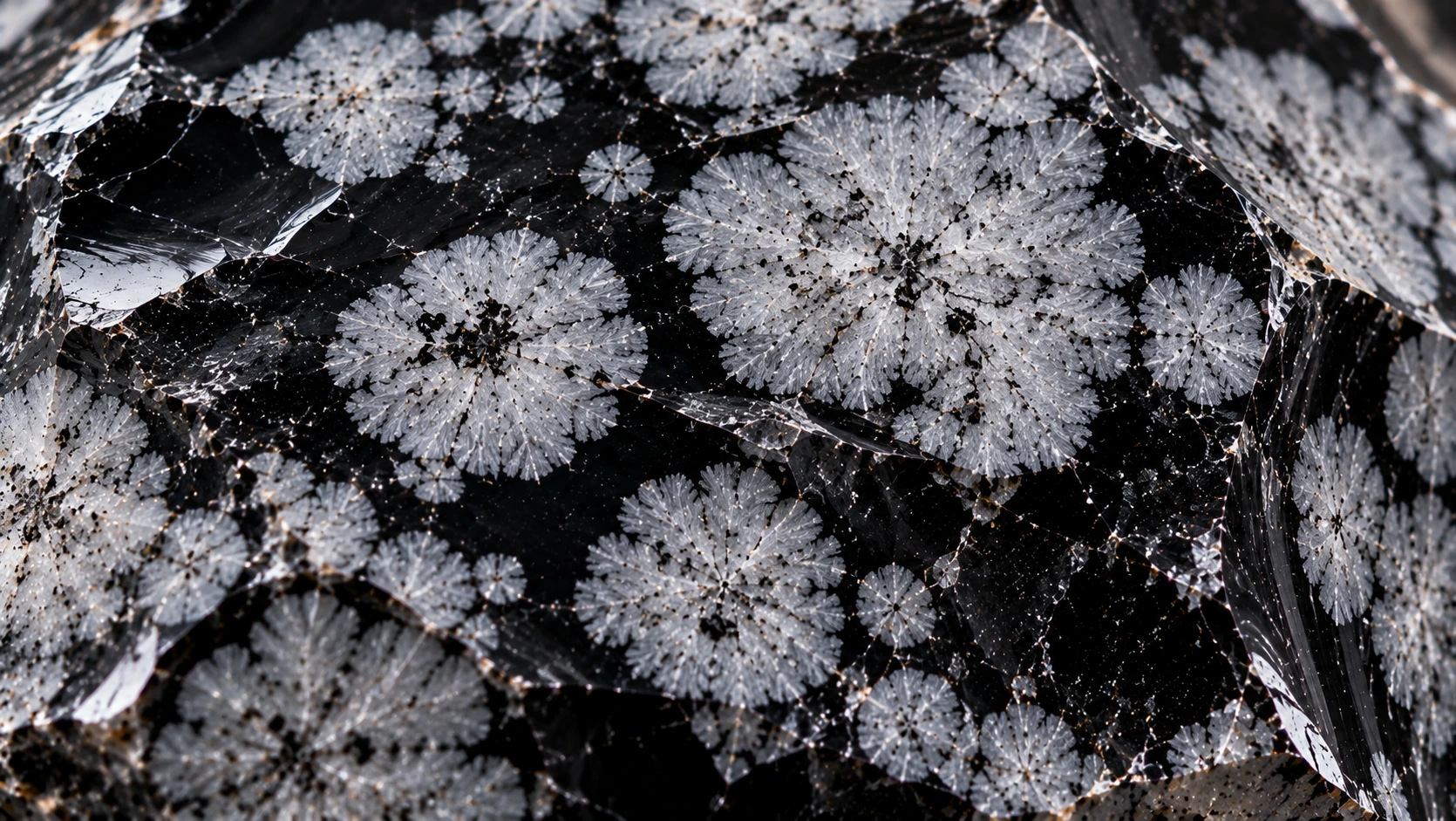 Detalle macro de los copos blancos de una obsidiana nevada