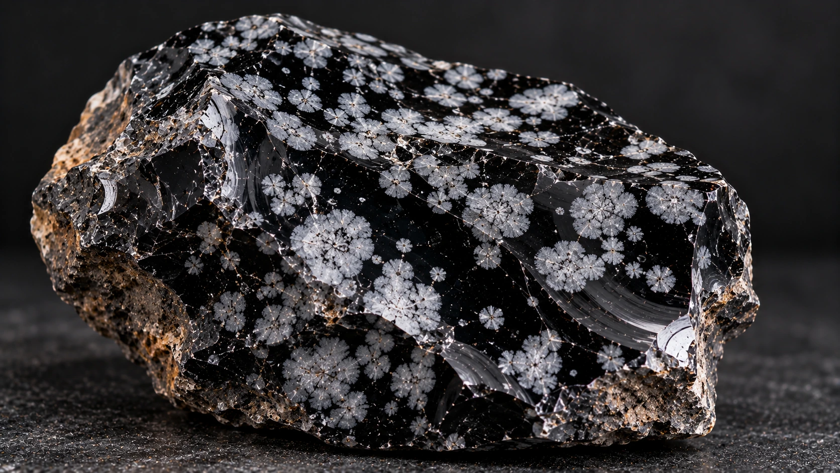 Obsidiana nevada natural negra con esferulitas blancas